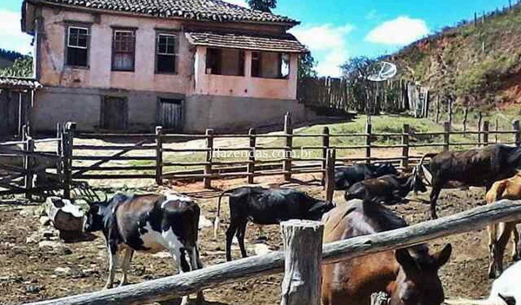 Fazenda em Juiz de Fora/MG – 82,5 hectares Fazenda em Juiz de Fora/MG – 82,5 hectares
