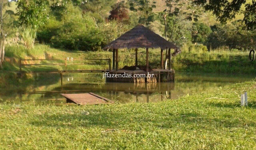 Haras em Rio Novo – MG – 6 hectares Haras em Rio Novo – MG – 6 hectares