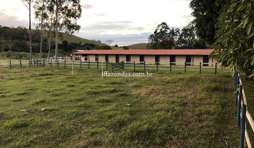 Haras em Rio Novo – MG – 6 hectares Haras em Rio Novo – MG – 6 hectares