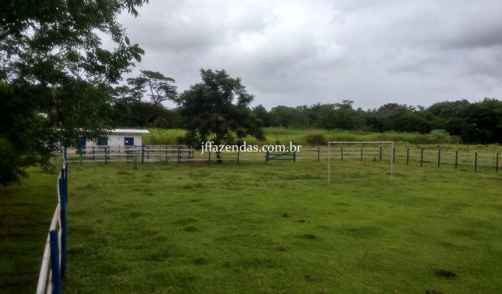 Haras em Rio Novo – MG – 6 hectares Haras em Rio Novo – MG – 6 hectares