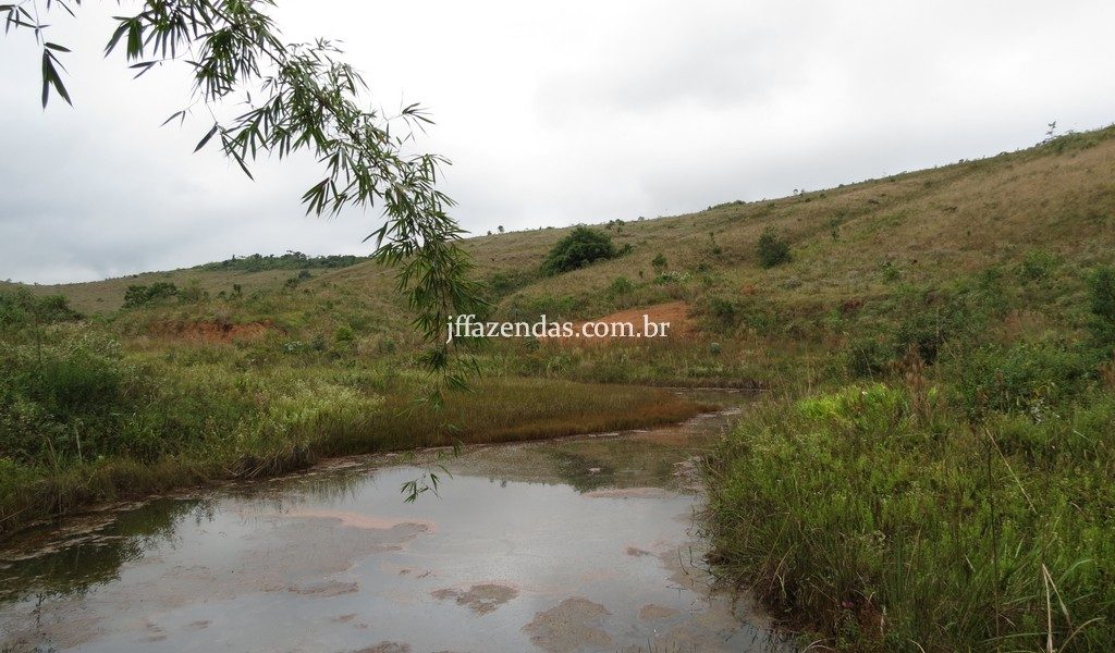 Fazenda em Juiz de Fora/MG – 82,5 hectares Fazenda em Juiz de Fora/MG – 82,5 hectares