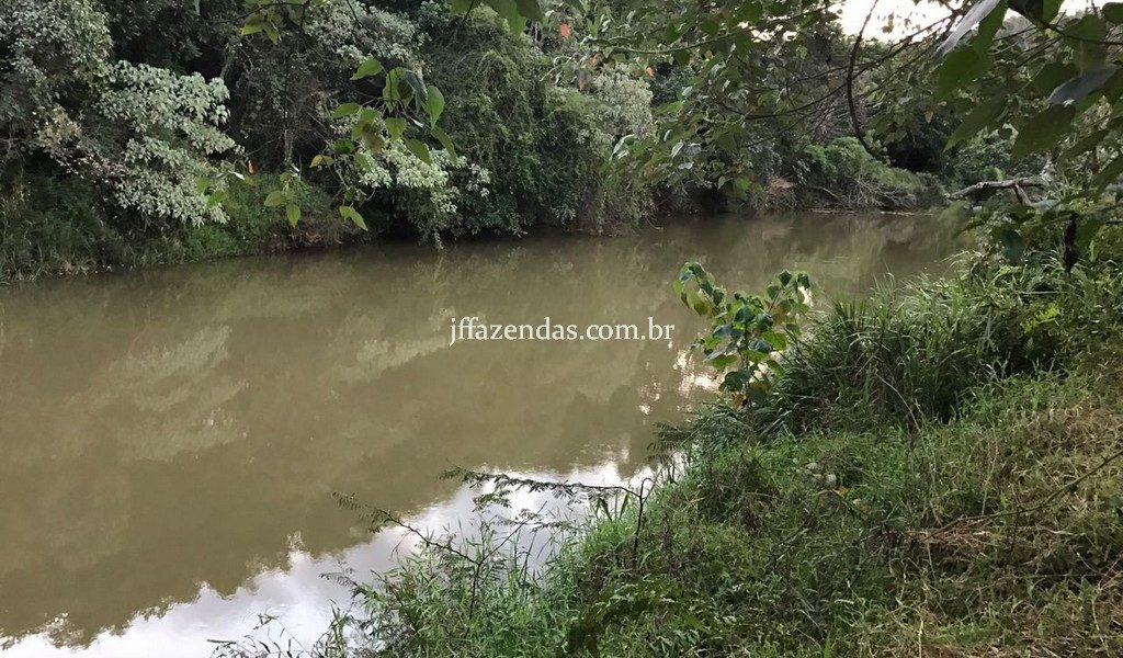 Haras em Rio Novo – MG – 6 hectares Haras em Rio Novo – MG – 6 hectares