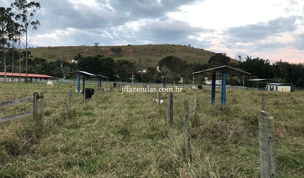 Haras em Rio Novo – MG – 6 hectares Haras em Rio Novo – MG – 6 hectares