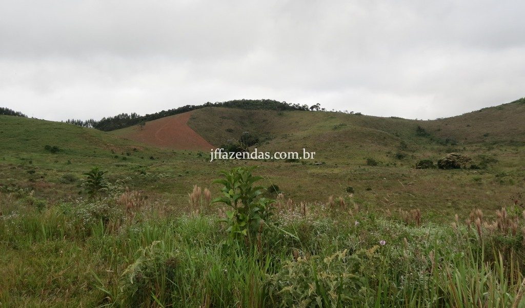Fazenda em Juiz de Fora/MG – 82,5 hectares Fazenda em Juiz de Fora/MG – 82,5 hectares