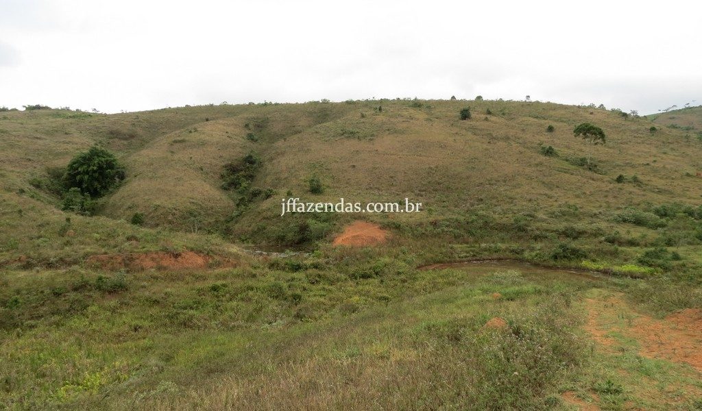 Fazenda em Juiz de Fora/MG – 82,5 hectares Fazenda em Juiz de Fora/MG – 82,5 hectares