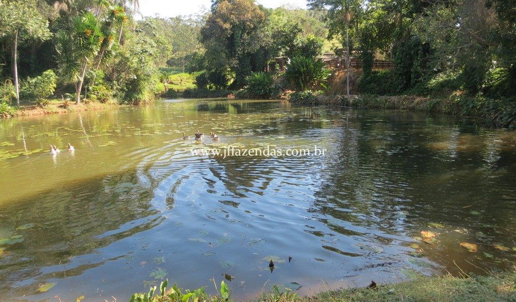 Fazenda produtora de leite – 315,5078 hectares – Guarani – MG Fazenda produtora de leite – 315,5078 hectares – Guarani – MG