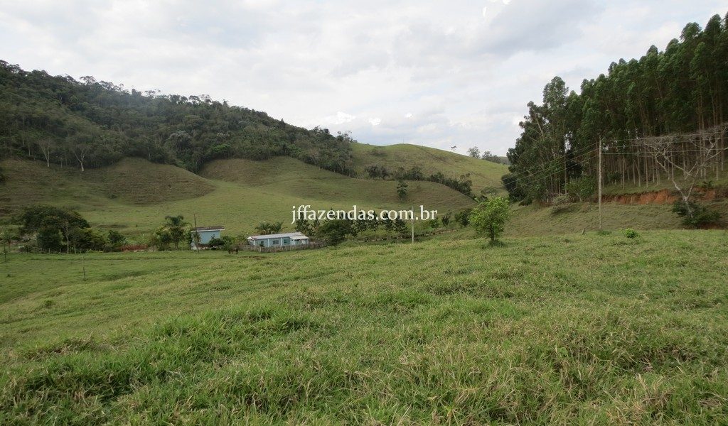 Fazenda em Juiz de Fora/MG – 145,7445 hectares