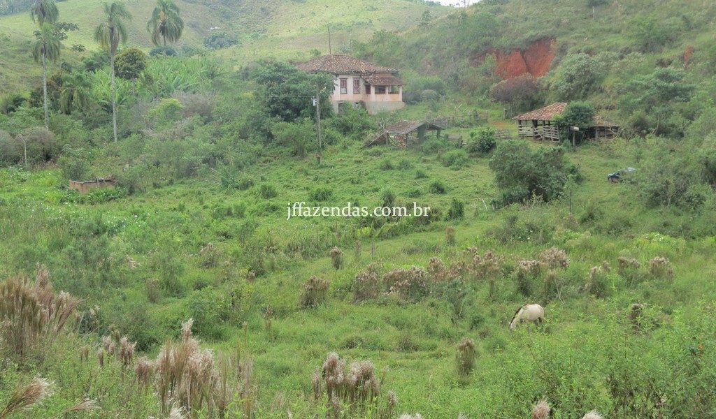Fazenda em Juiz de Fora/MG – 82,5 hectares Fazenda em Juiz de Fora/MG – 82,5 hectares