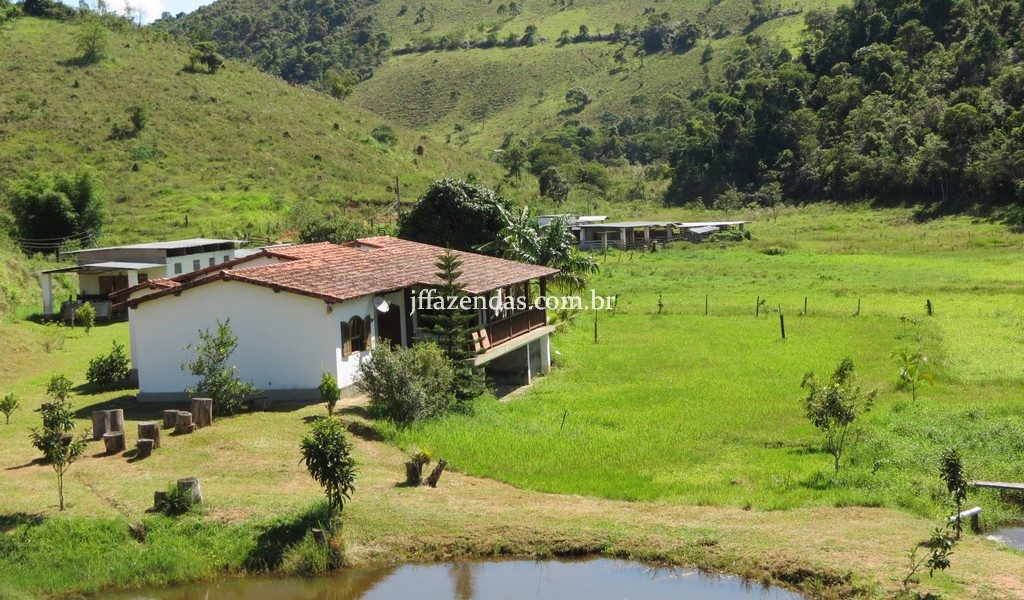 Fazenda em Torreões – Juiz de Fora/MG – 110 hectares Fazenda em Torreões – Juiz de Fora/MG – 110 hectares