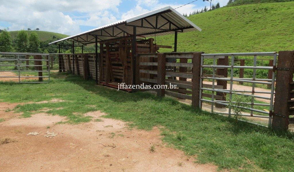 Fazenda em Simão Pereira – MG – 250 hectares Fazenda em Simão Pereira – MG – 250 hectares