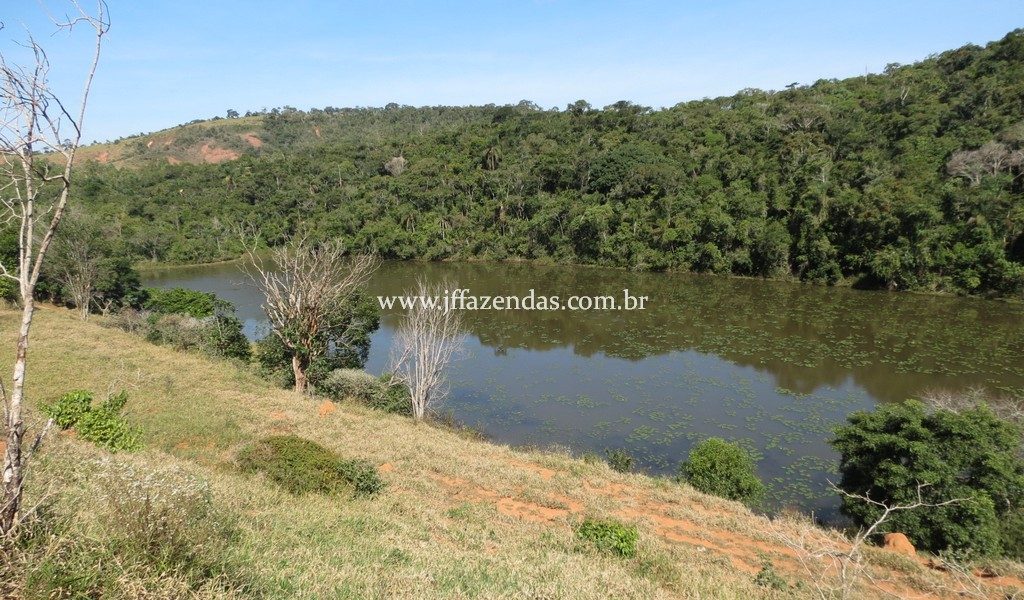 Fazenda produtora de leite – 315,5078 hectares – Guarani – MG Fazenda produtora de leite – 315,5078 hectares – Guarani – MG