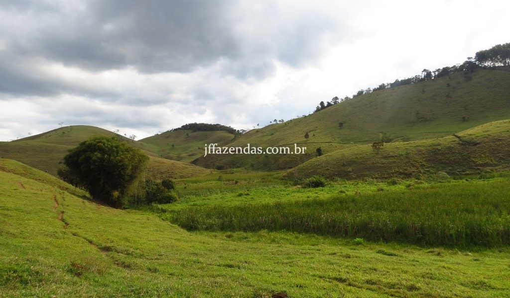 Fazenda em Juiz de Fora/MG – 145,7445 hectares