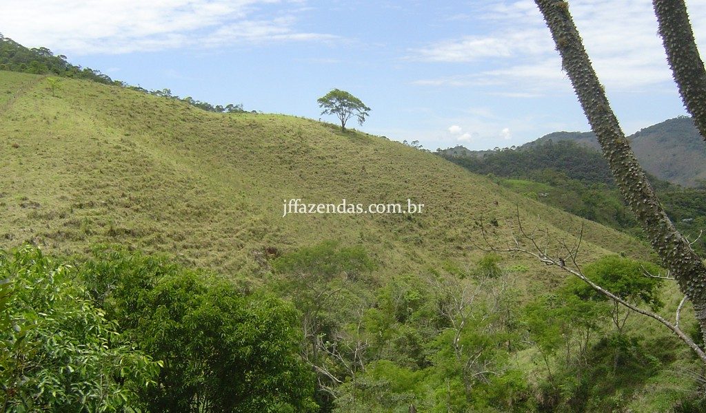 Fazenda em Santa Rita do Jacutinga – MG – 411 hectares Fazenda em Santa Rita do Jacutinga – MG – 411 hectares