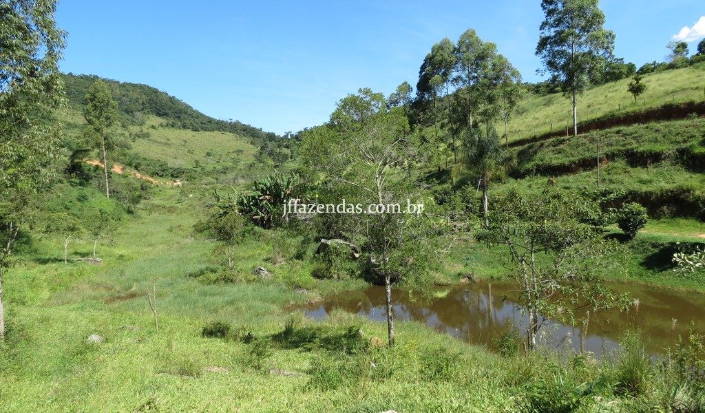 Fazenda em Torreões – Juiz de Fora/MG – 110 hectares Fazenda em Torreões – Juiz de Fora/MG – 110 hectares