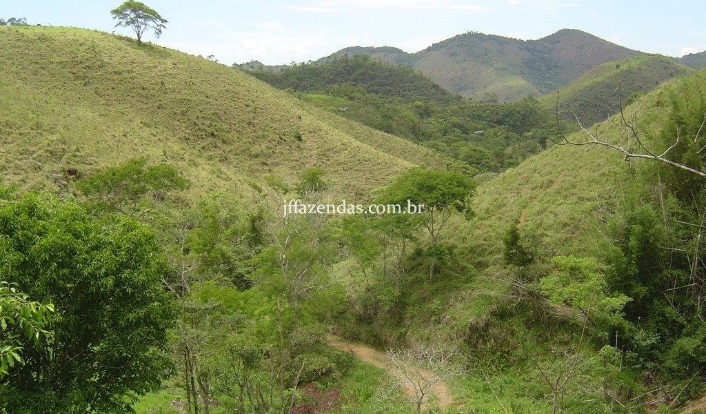 Fazenda em Santa Rita do Jacutinga – MG – 411 hectares Fazenda em Santa Rita do Jacutinga – MG – 411 hectares