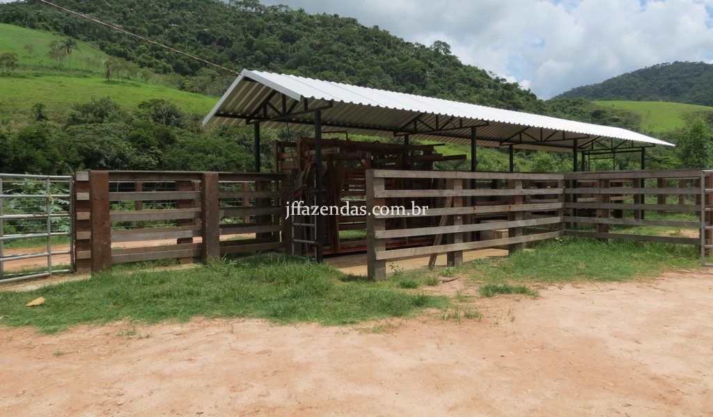 Fazenda em Simão Pereira – MG – 250 hectares Fazenda em Simão Pereira – MG – 250 hectares