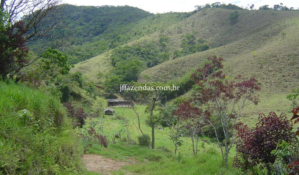 Fazenda em Santa Rita do Jacutinga – MG – 411 hectares Fazenda em Santa Rita do Jacutinga – MG – 411 hectares