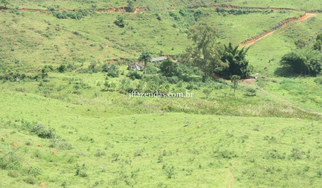 Fazenda em Juiz de Fora – MG – 114 hectares Fazenda em Juiz de Fora – MG – 114 hectares