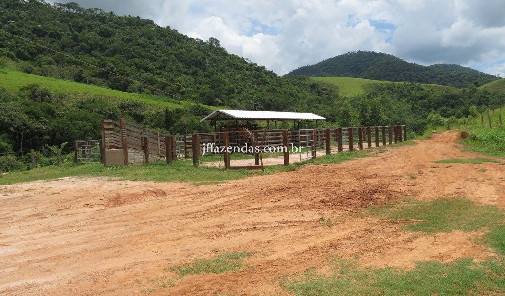 Fazenda em Simão Pereira – MG – 250 hectares Fazenda em Simão Pereira – MG – 250 hectares