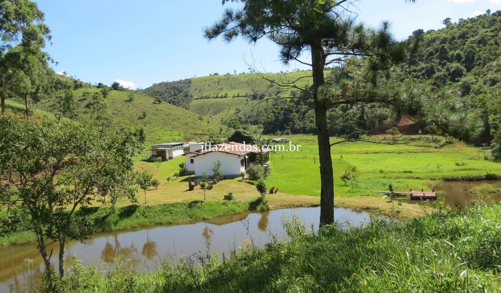 Fazenda em Torreões – Juiz de Fora/MG – 110 hectares Fazenda em Torreões – Juiz de Fora/MG – 110 hectares