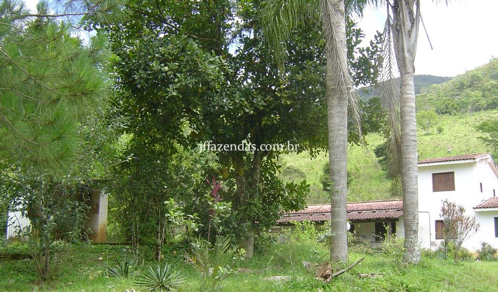 Fazenda em Santa Rita do Jacutinga – MG – 411 hectares Fazenda em Santa Rita do Jacutinga – MG – 411 hectares