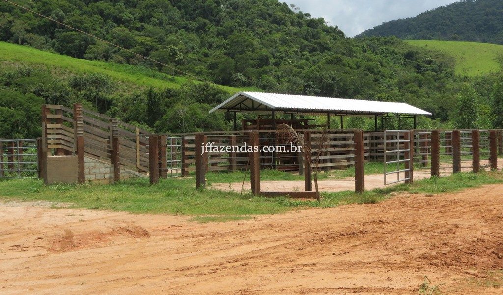 Fazenda em Simão Pereira – MG – 250 hectares Fazenda em Simão Pereira – MG – 250 hectares