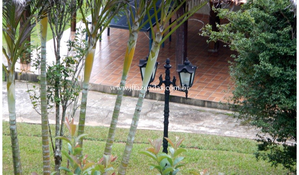 Fazenda – 180 hectares – Lima Duarte – MG Fazenda – 180 hectares – Lima Duarte – MG