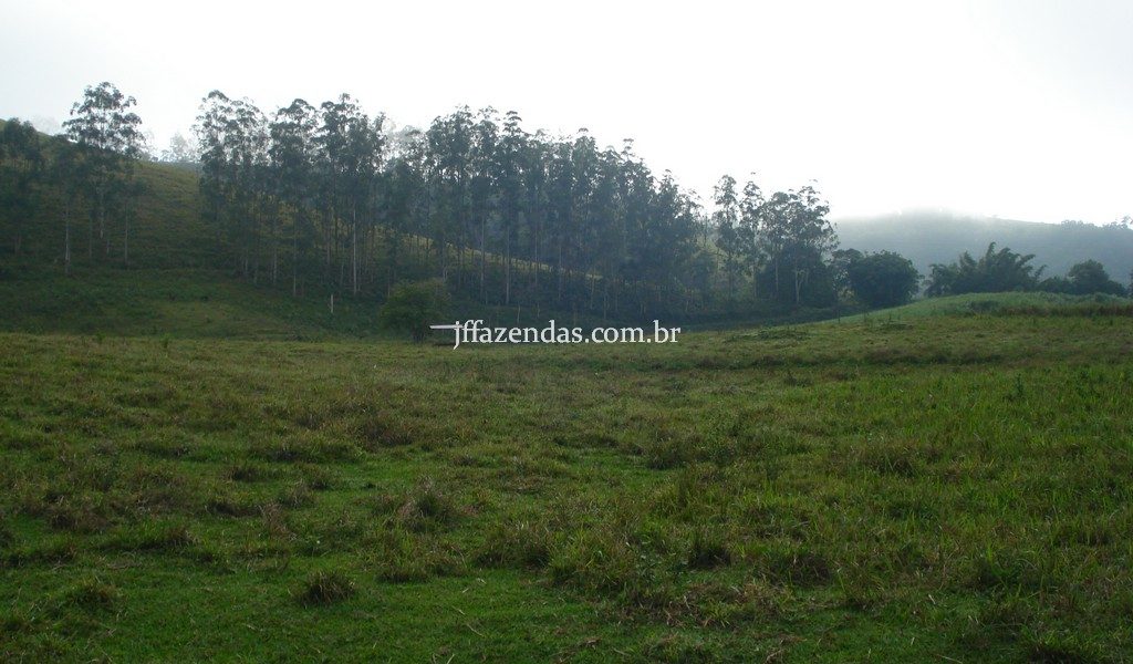 Fazenda em Rio Preto – MG – 240 hectares Fazenda em Rio Preto – MG – 240 hectares