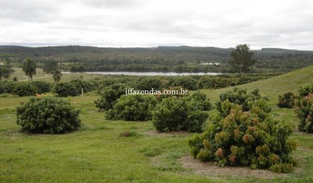 Fazenda de luxo em Avaré/SP – 216 hectares Fazenda de luxo em Avaré/SP – 216 hectares