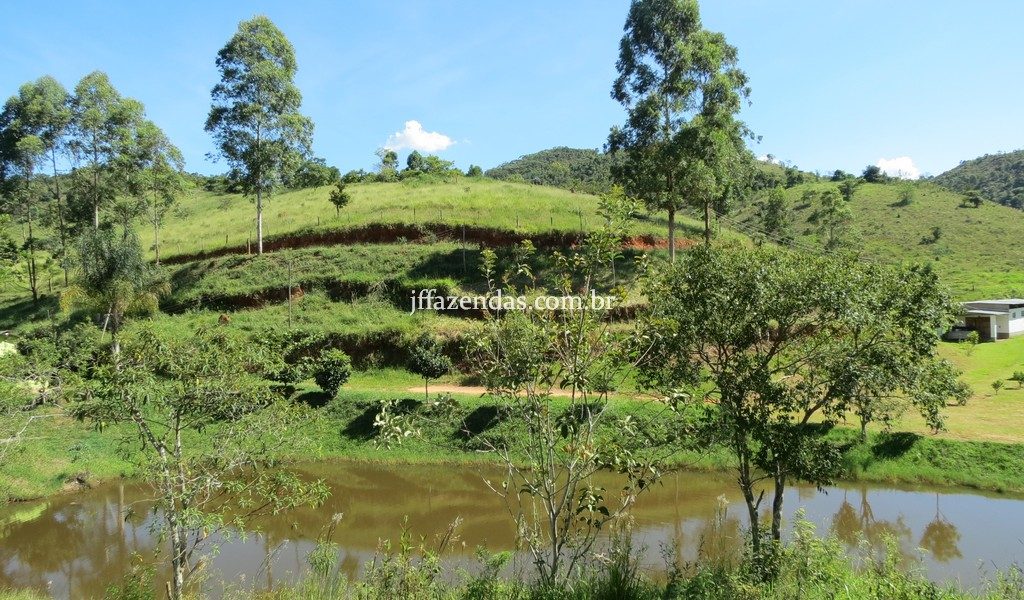 Fazenda em Torreões – Juiz de Fora/MG – 110 hectares Fazenda em Torreões – Juiz de Fora/MG – 110 hectares
