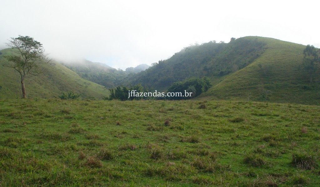 Fazenda em Rio Preto – MG – 240 hectares Fazenda em Rio Preto – MG – 240 hectares