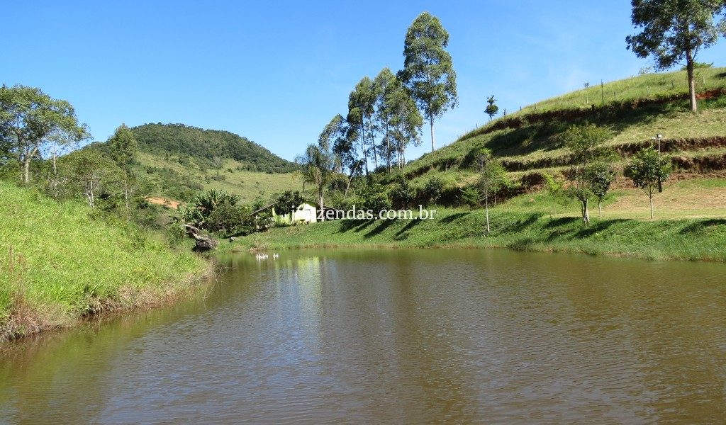 Fazenda em Torreões – Juiz de Fora/MG – 110 hectares Fazenda em Torreões – Juiz de Fora/MG – 110 hectares
