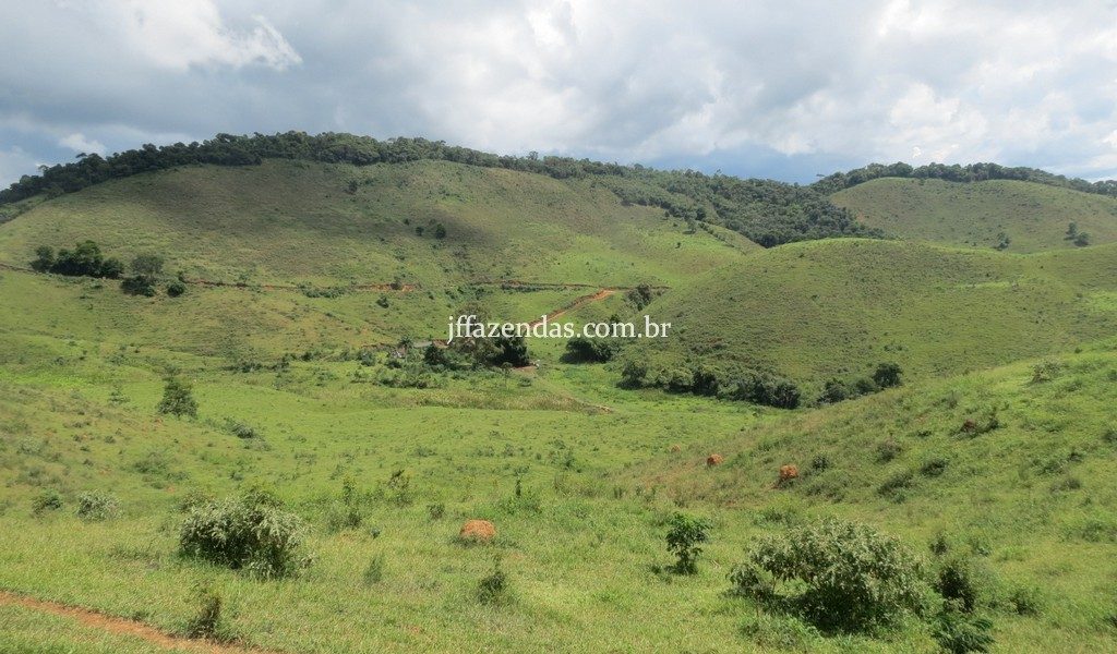 Fazenda em Juiz de Fora – MG – 114 hectares Fazenda em Juiz de Fora – MG – 114 hectares