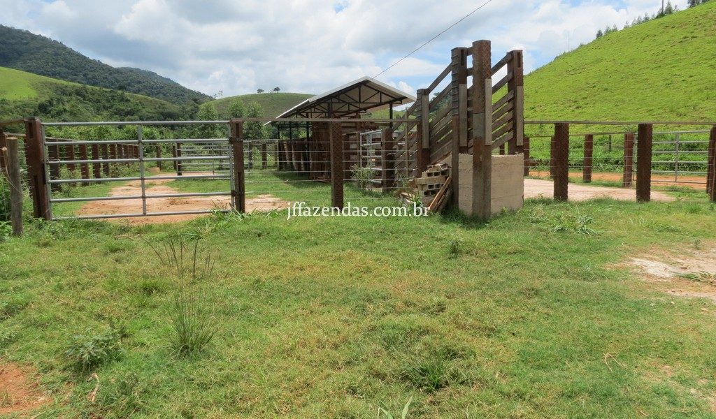 Fazenda em Simão Pereira – MG – 250 hectares Fazenda em Simão Pereira – MG – 250 hectares