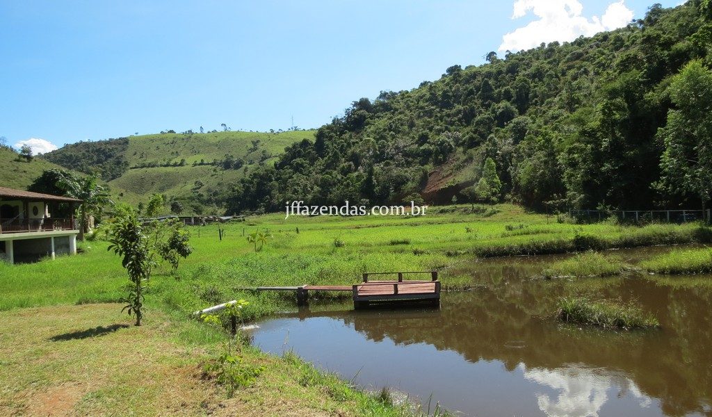 Fazenda em Torreões – Juiz de Fora/MG – 110 hectares Fazenda em Torreões – Juiz de Fora/MG – 110 hectares