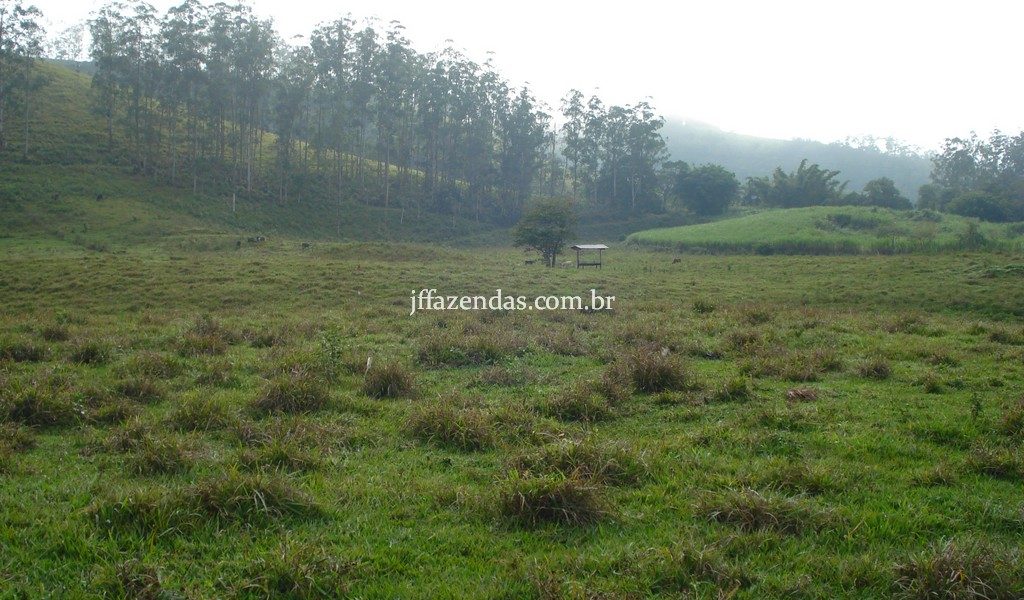 Fazenda em Rio Preto – MG – 240 hectares Fazenda em Rio Preto – MG – 240 hectares