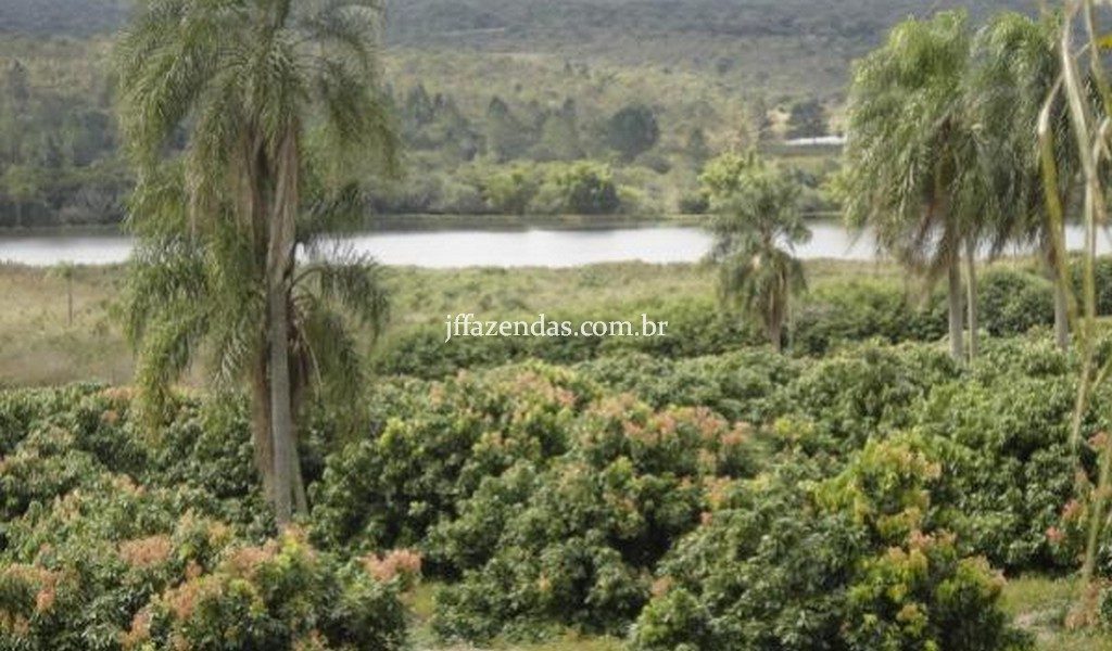 Fazenda de luxo em Avaré/SP – 216 hectares Fazenda de luxo em Avaré/SP – 216 hectares