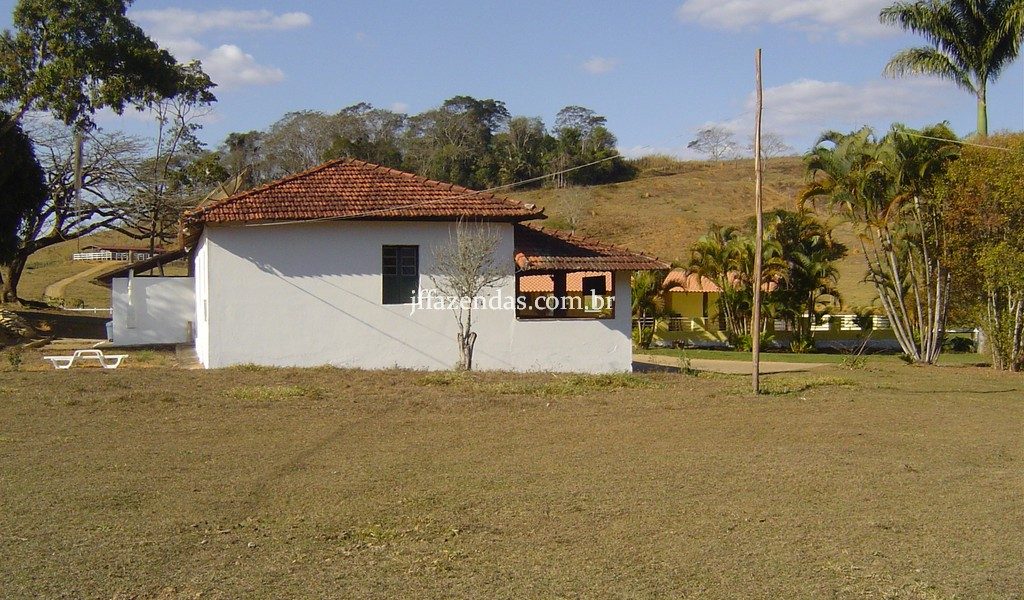 Sítio em Matias Barbosa/MG – 19 hectares