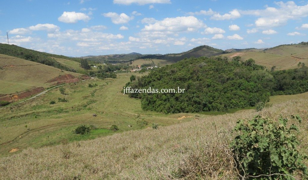 Fazenda em Belmiro Braga – MG – 117 hectares Fazenda em Belmiro Braga – MG – 117 hectares