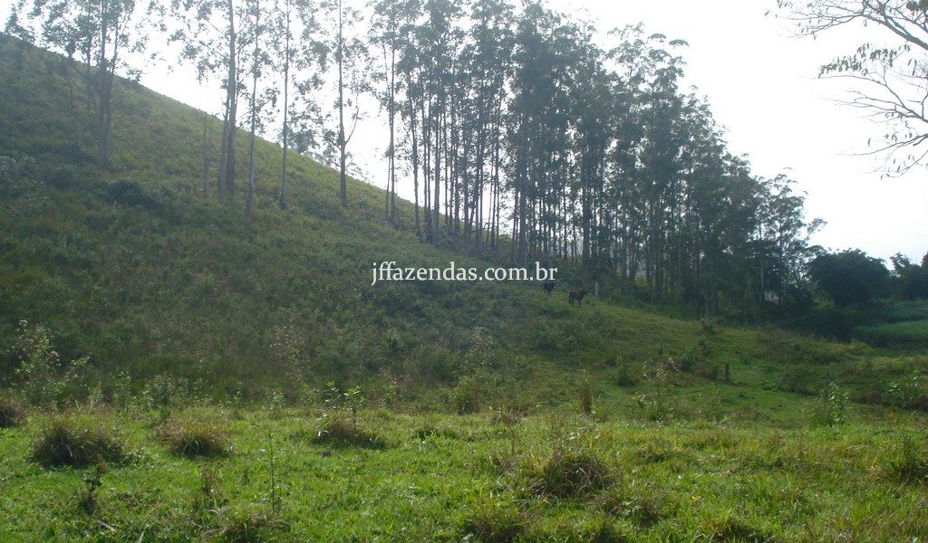 Fazenda em Rio Preto – MG – 240 hectares Fazenda em Rio Preto – MG – 240 hectares
