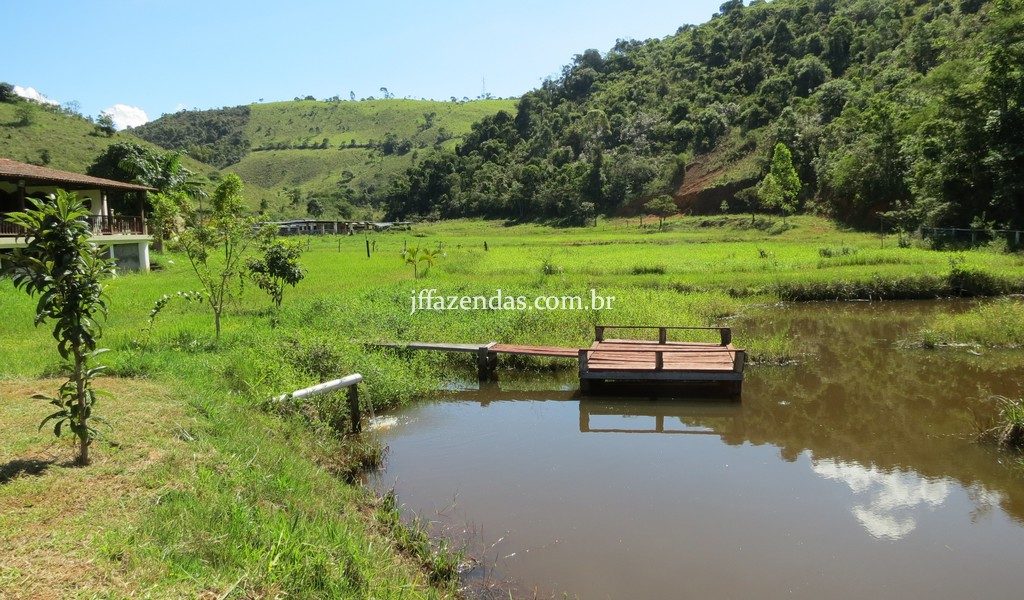 Fazenda em Torreões – Juiz de Fora/MG – 110 hectares Fazenda em Torreões – Juiz de Fora/MG – 110 hectares