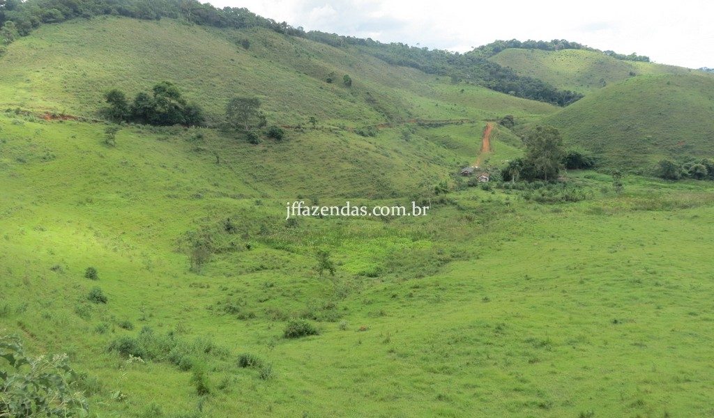 Fazenda em Juiz de Fora – MG – 114 hectares Fazenda em Juiz de Fora – MG – 114 hectares