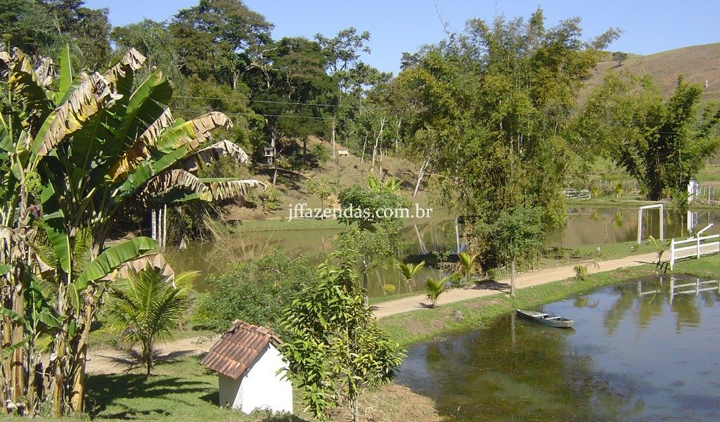 Sítio de alto padrão em Juiz de Fora/MG – 4 hectares Sítio de alto padrão em Juiz de Fora/MG – 4 hectares