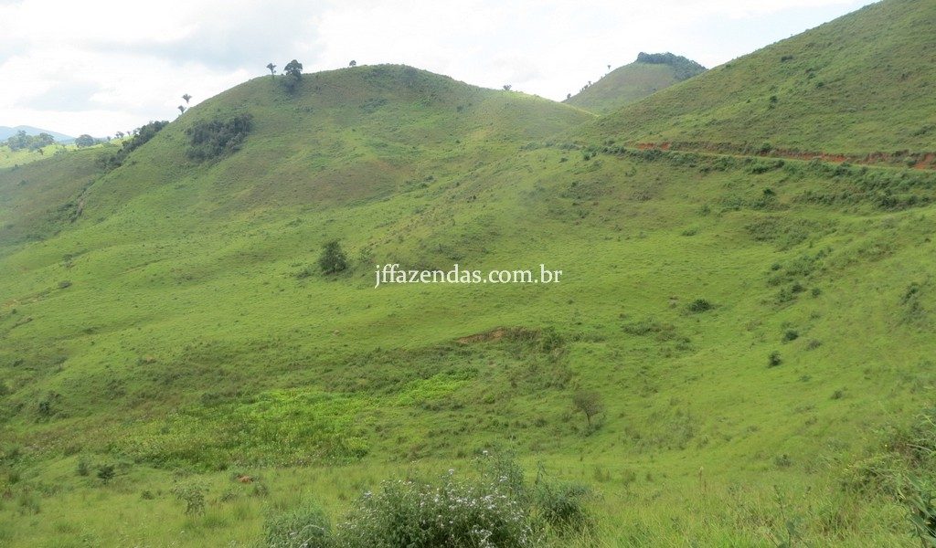 Fazenda em Juiz de Fora – MG – 114 hectares Fazenda em Juiz de Fora – MG – 114 hectares