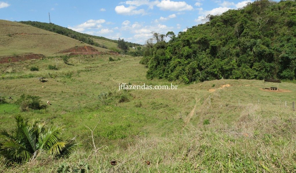 Fazenda em Belmiro Braga – MG – 117 hectares Fazenda em Belmiro Braga – MG – 117 hectares