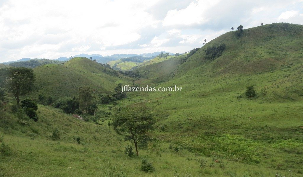 Fazenda em Juiz de Fora – MG – 114 hectares Fazenda em Juiz de Fora – MG – 114 hectares