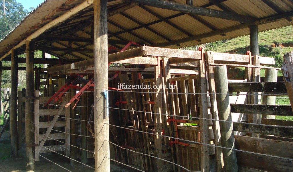 Fazenda em Rio Preto – MG – 240 hectares Fazenda em Rio Preto – MG – 240 hectares