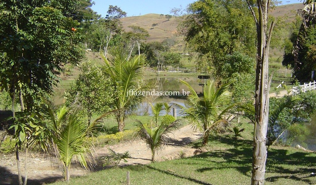 Sítio de alto padrão em Juiz de Fora/MG – 4 hectares Sítio de alto padrão em Juiz de Fora/MG – 4 hectares