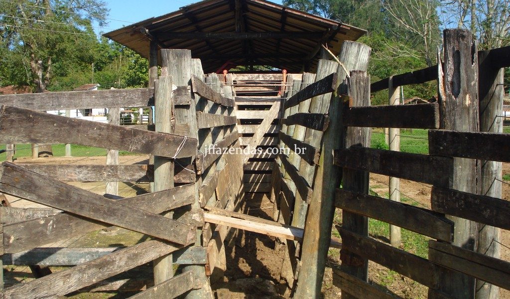 Fazenda em Rio Preto – MG – 240 hectares Fazenda em Rio Preto – MG – 240 hectares