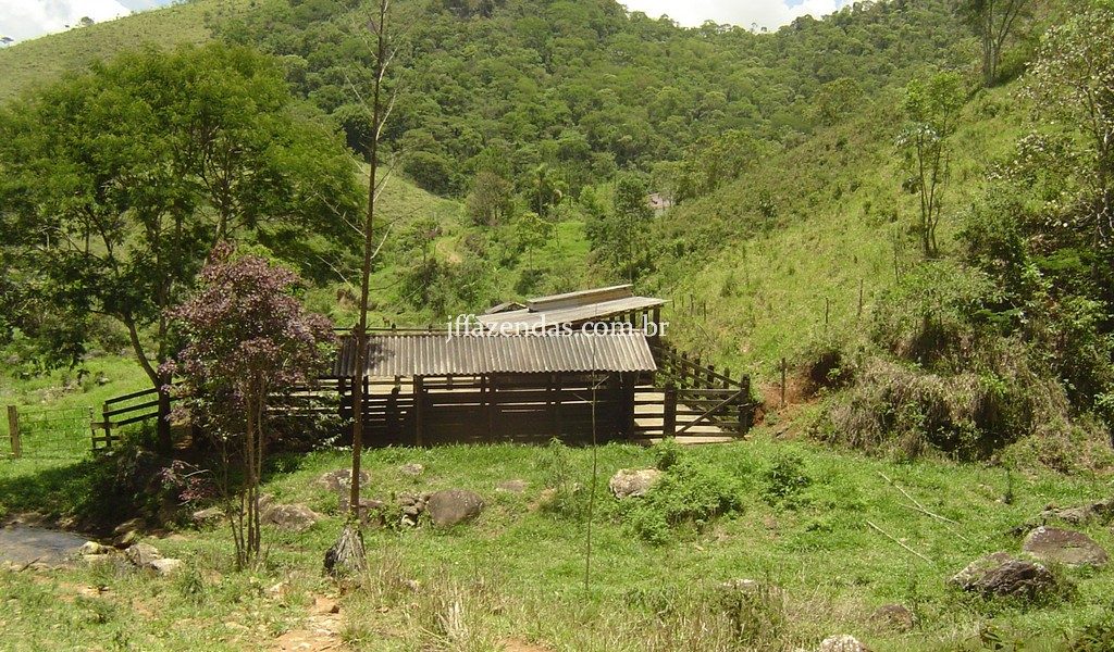 Fazenda em Santa Rita do Jacutinga – MG – 411 hectares Fazenda em Santa Rita do Jacutinga – MG – 411 hectares
